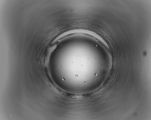 X0000091990428200709061422