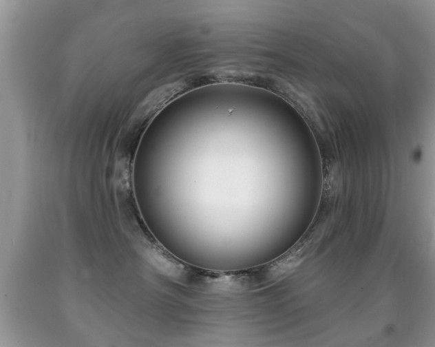 X0000091990430200709061422