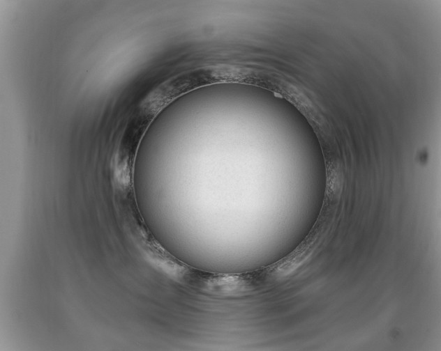 X0000091990431200709061422