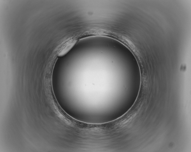 X0000091990433200709061421
