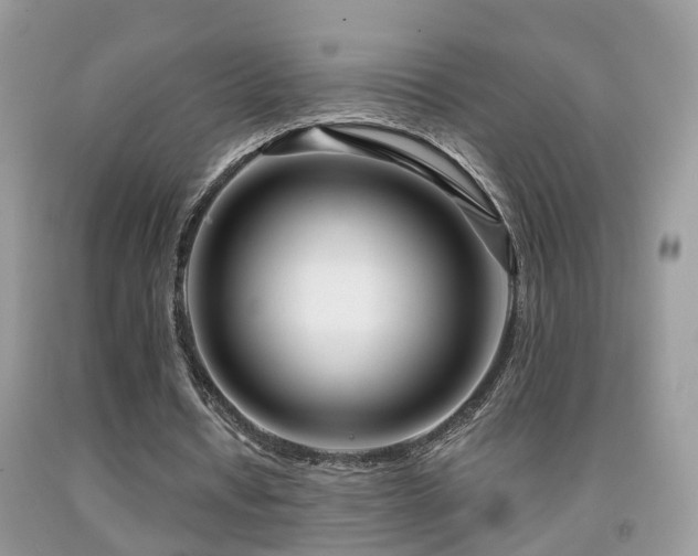 X0000091990434200709061421