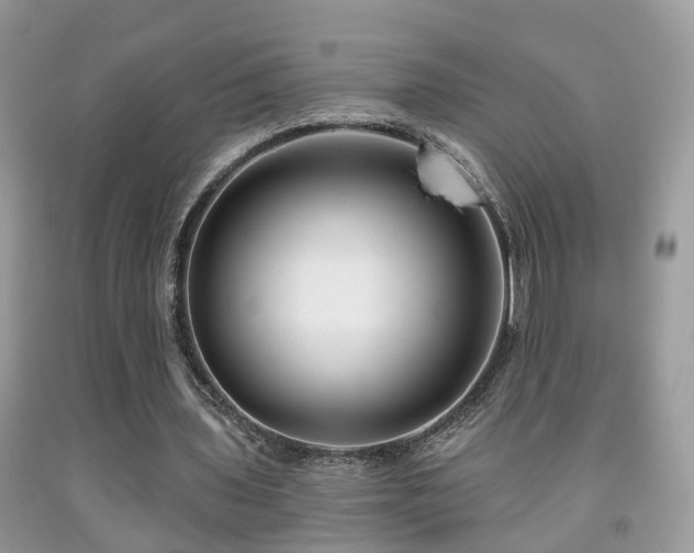 X0000091990435200709061421