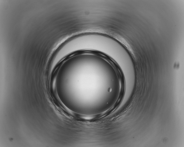 X0000091990436200709061421