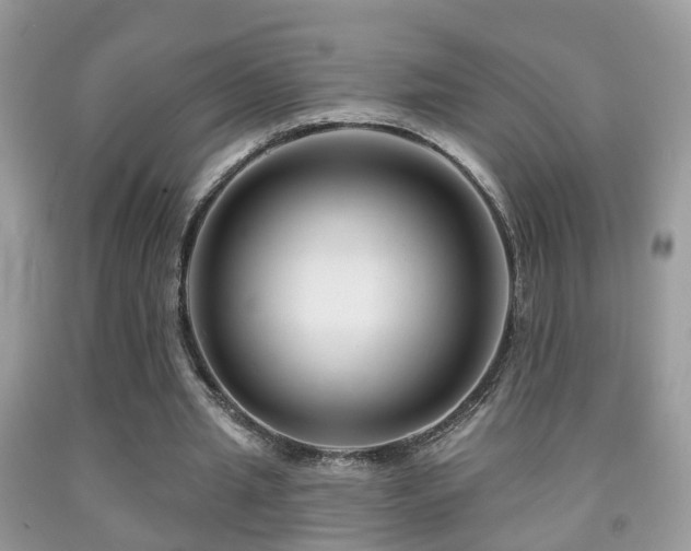 X0000091990437200709061421