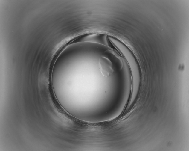 X0000091990438200709061421