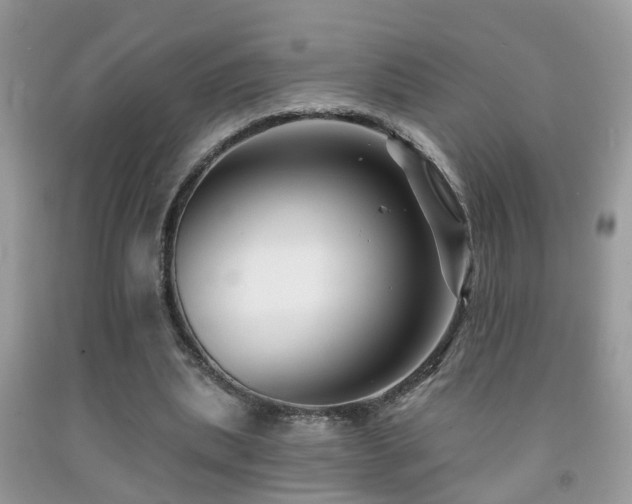 X0000091990439200709061421