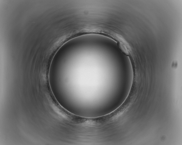X0000091990441200709061421