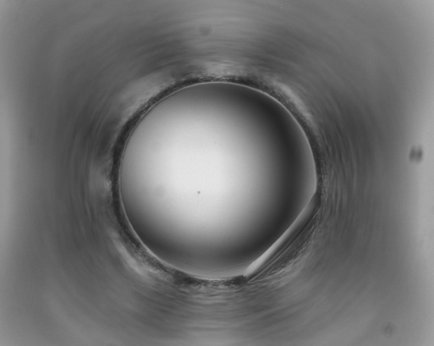 X0000091990443200709061421