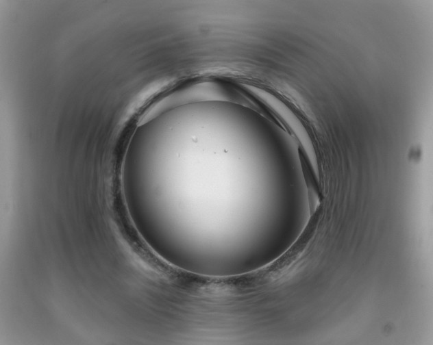 X0000091990444200709061421