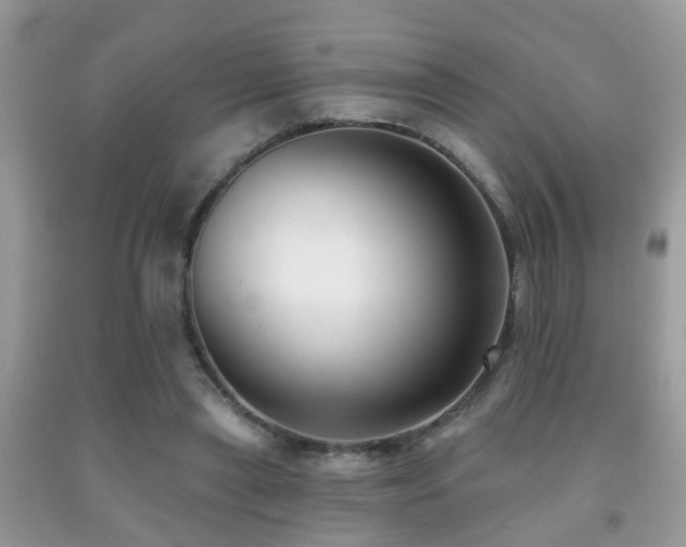 X0000091990445200709061421