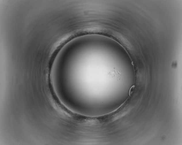 X0000091990446200709061421