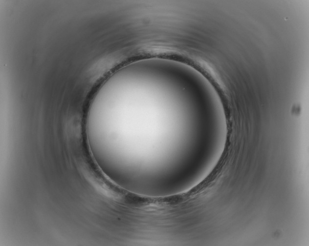 X0000091990447200709061421