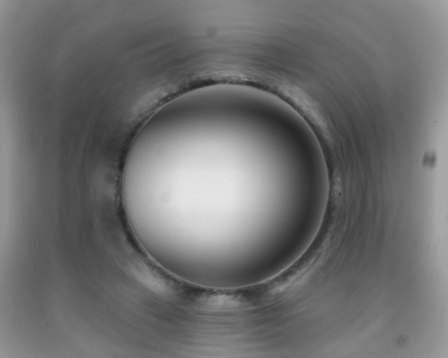 X0000091990449200709061421