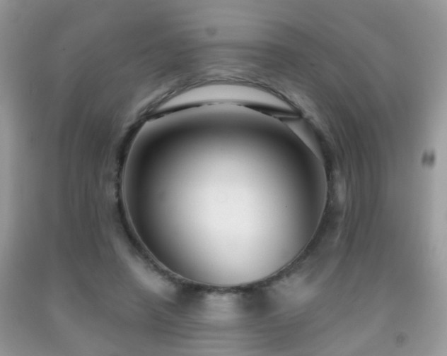 X0000091990450200709061421