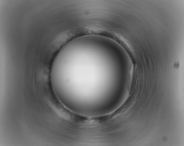 X0000091990451200709061421