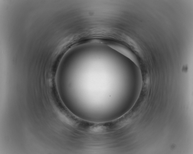 X0000091990452200709061421