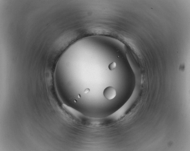 X0000091990453200709061421