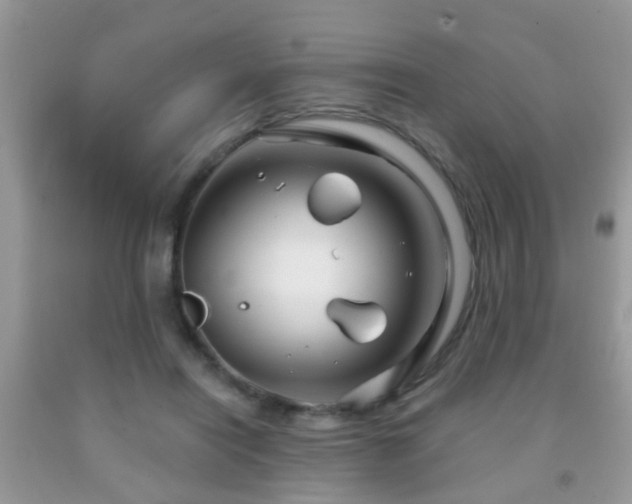 X0000091990454200709061421