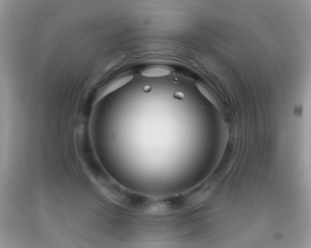 X0000091990456200709061422