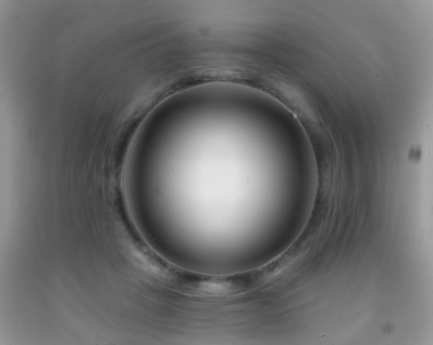 X0000091990457200709061422