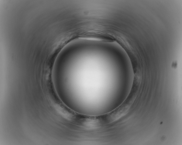 X0000091990458200709061422