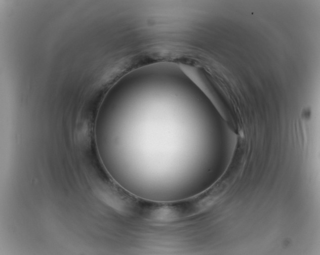 X0000091990460200709061422
