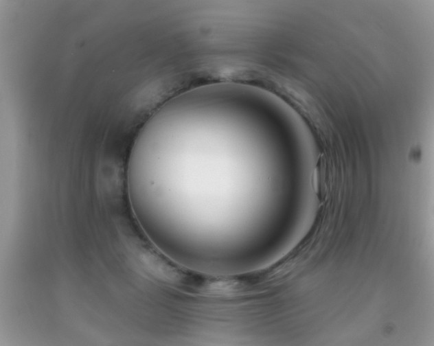 X0000091990461200709061422