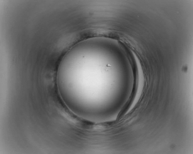 X0000091990462200709061422