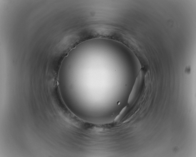 X0000091990464200709061422