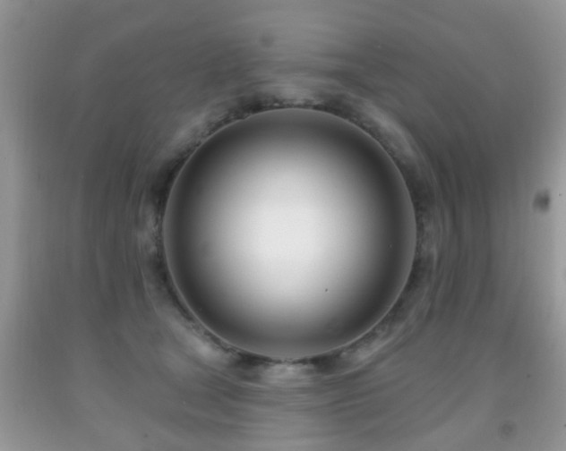 X0000091990465200709061422