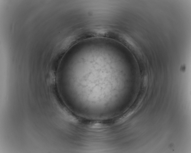 X0000091990467200709061422