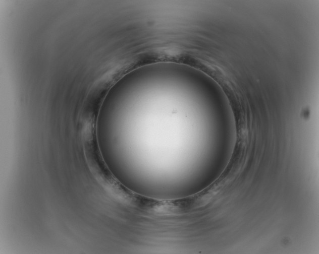 X0000091990468200709061422