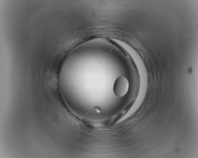 X0000091990469200709061422