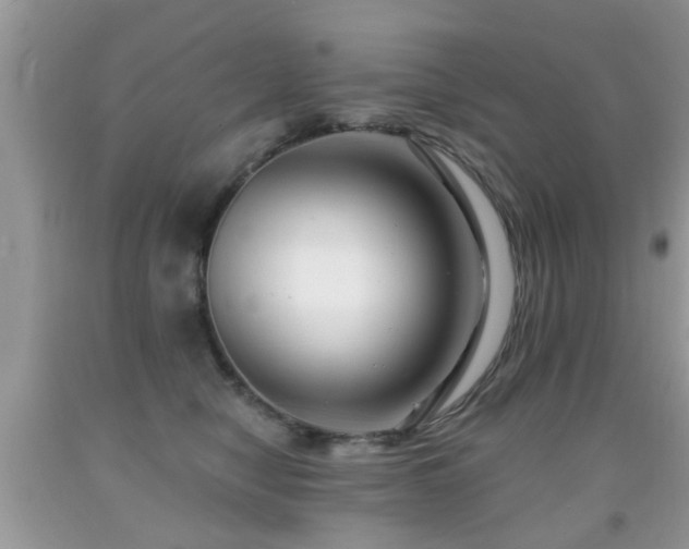 X0000091990470200709061422