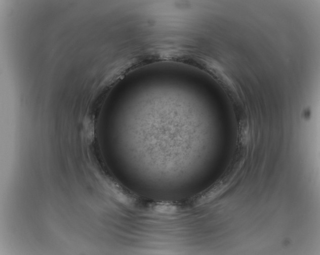 X0000091990471200709061422