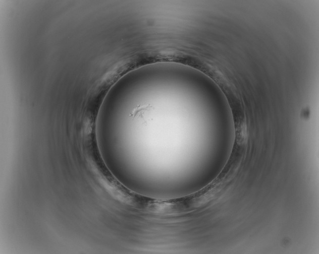 X0000091990472200709061422