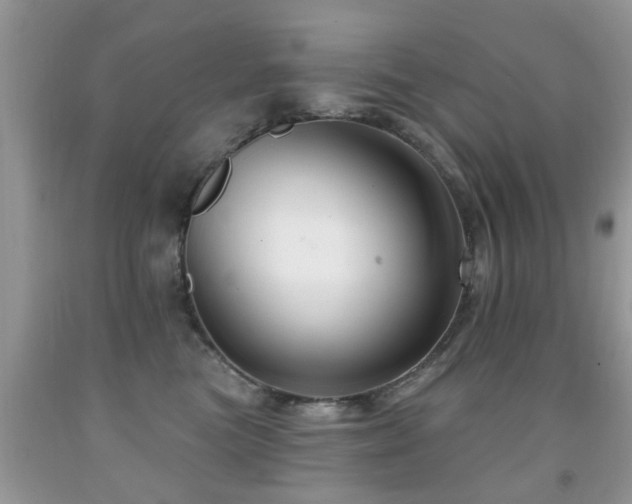 X0000091990473200709061422