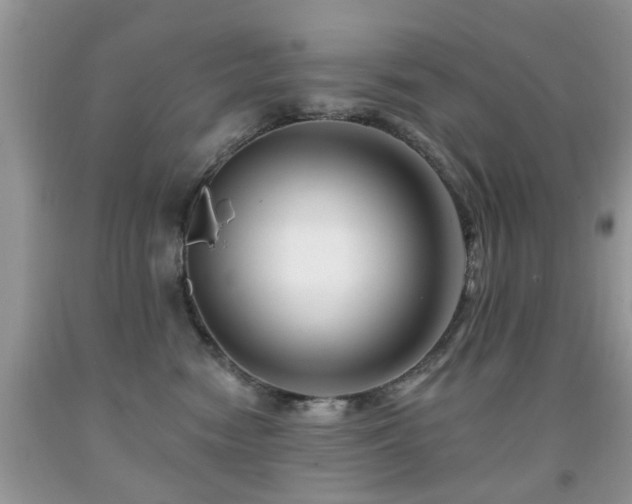 X0000091990474200709061422