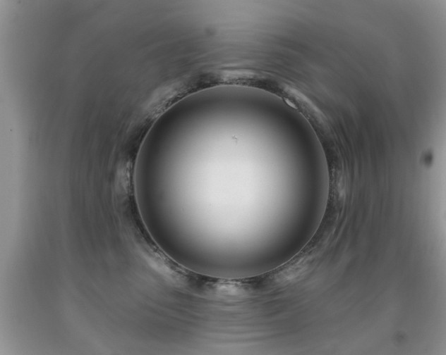 X0000091990475200709061422