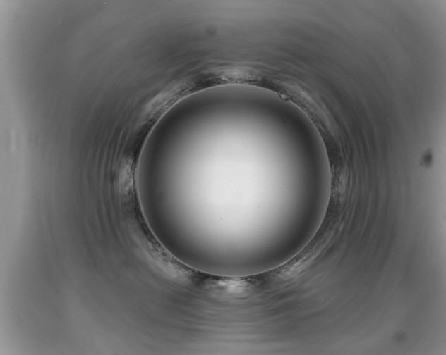 X0000091990478200709061422