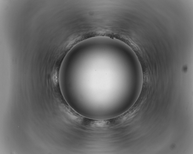 X0000091990479200709061422