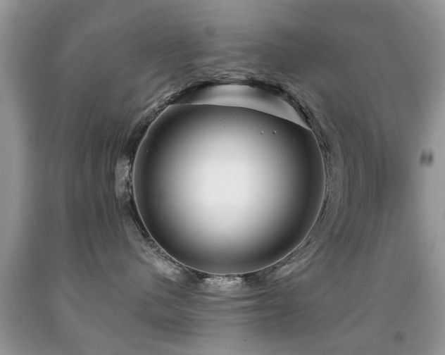X0000091990480200709061422