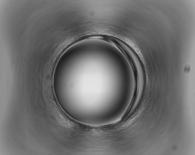 X0000091990481200709061421