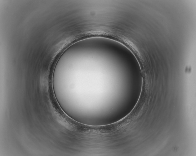 X0000091990482200709061421
