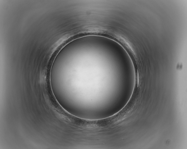 X0000091990483200709061421