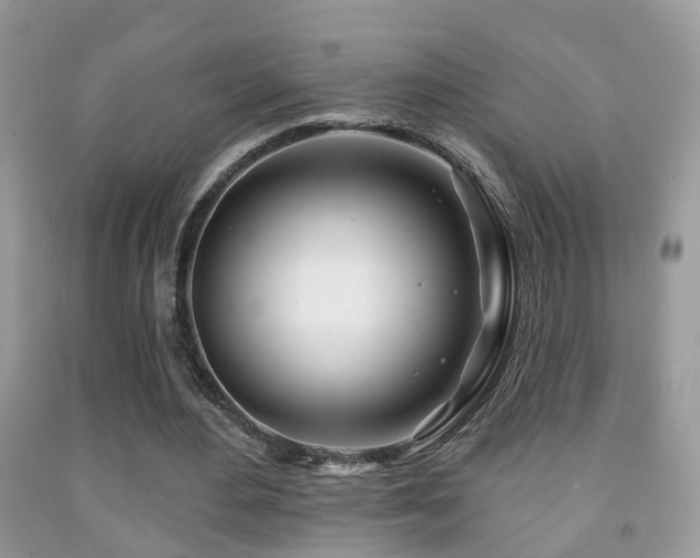 X0000091990484200709061421