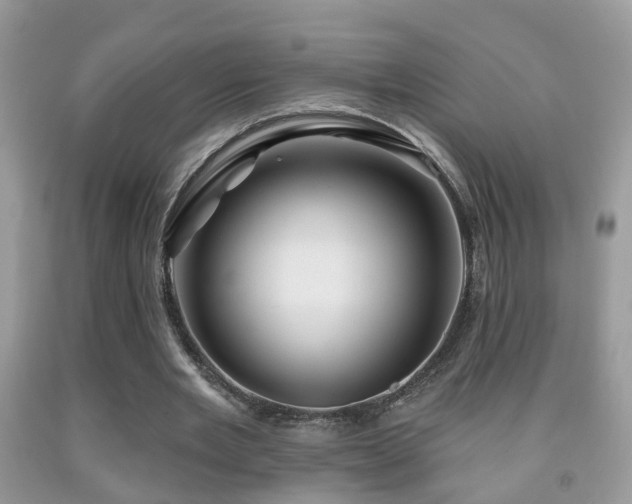 X0000091990485200709061421