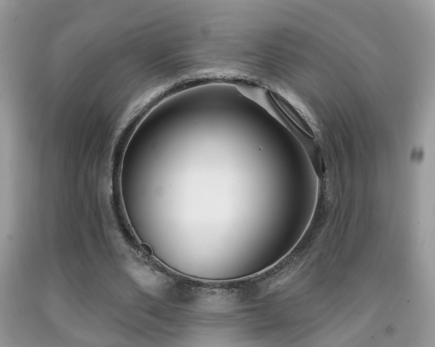 X0000091990486200709061421