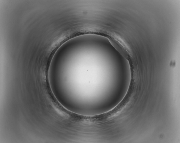 X0000091990489200709061421