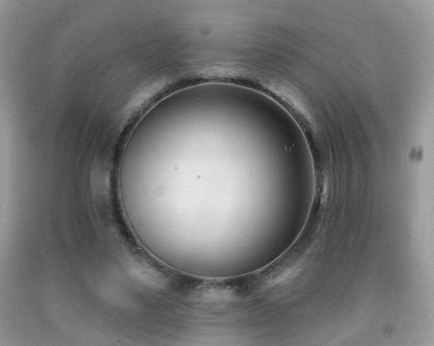 X0000091990491200709061421